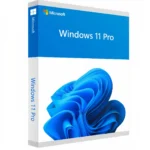 Windows 11 Professional