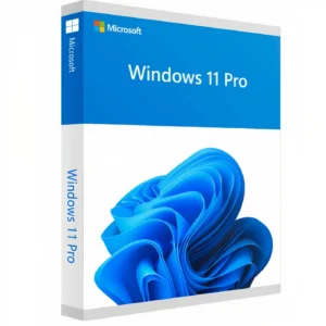 Windows 11 Professional